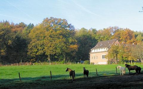 Forsthaus Schontal Hotel Aken Buitenkant foto